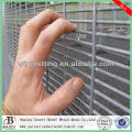 Security 358 anti-climb welded mesh panel fence